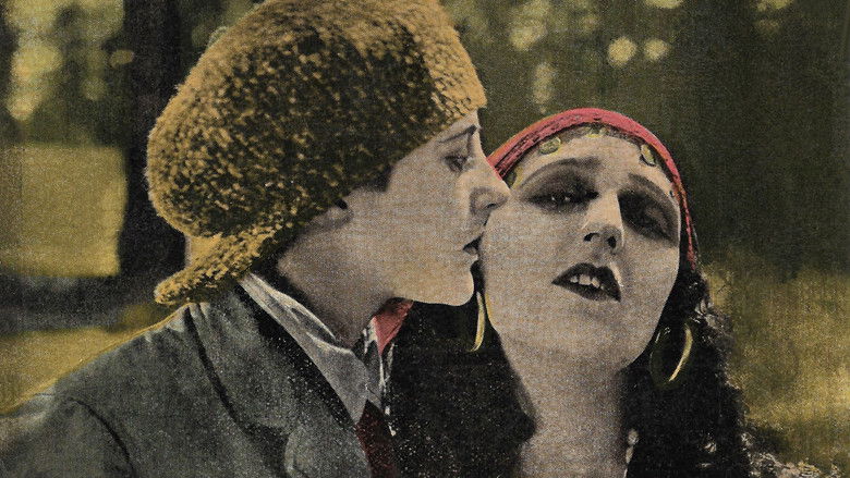 кадр из фильма The Dream Lady