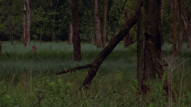 кадр из фильма Afterwards