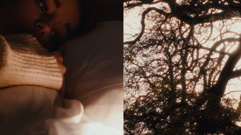 кадр из фильма Split