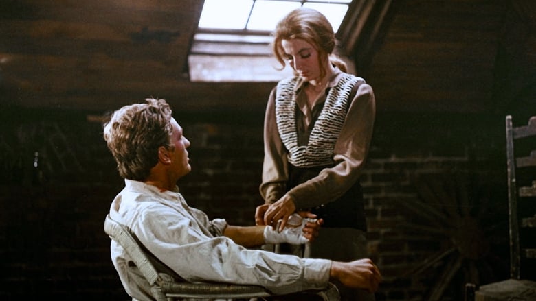 кадр из фильма Agent Nr.1