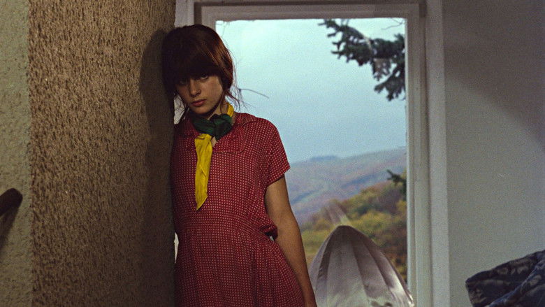 кадр из фильма Ложное движение