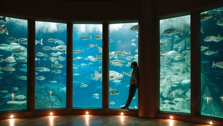 кадр из фильма Leo & Lou