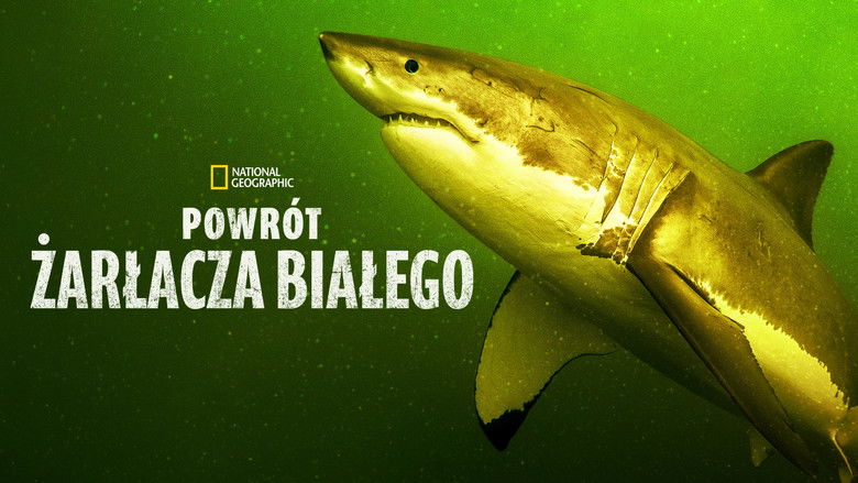 кадр из фильма Возвращение белой акулы