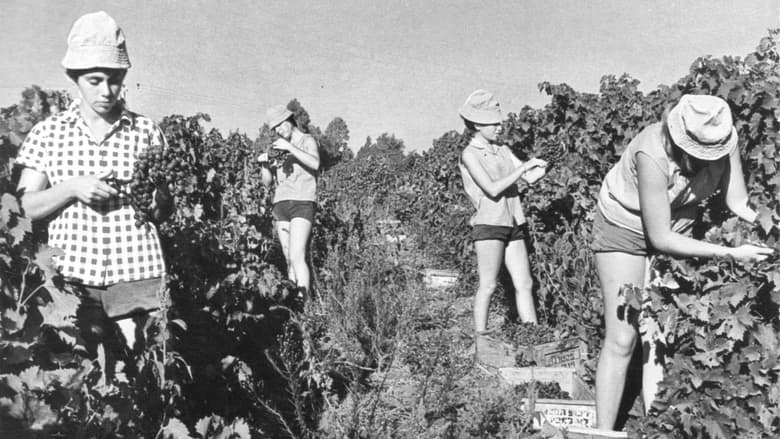 кадр из фильма Generació Kibbutz