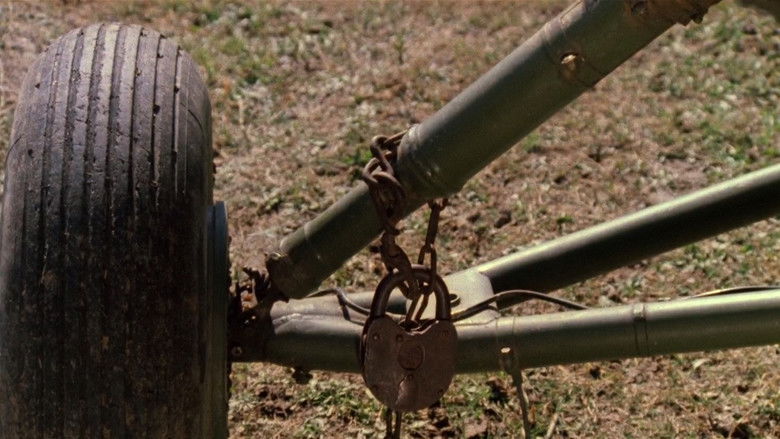 кадр из фильма Мимино