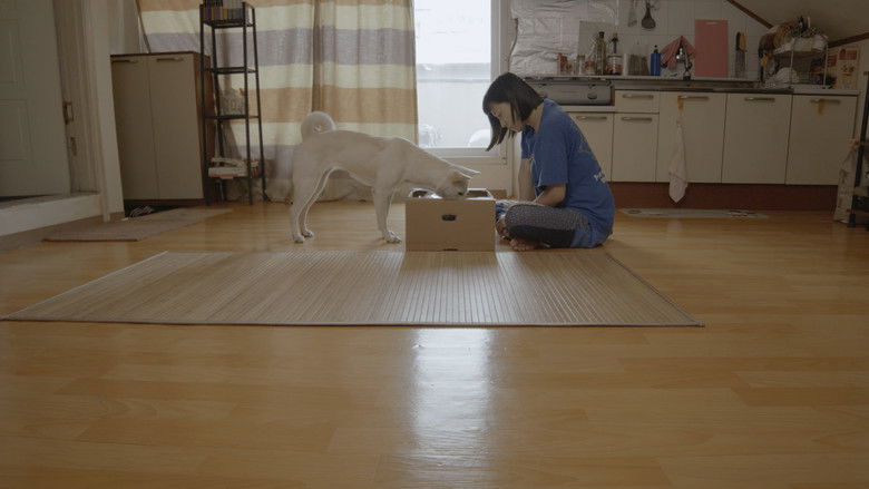 кадр из фильма 생각의 여름