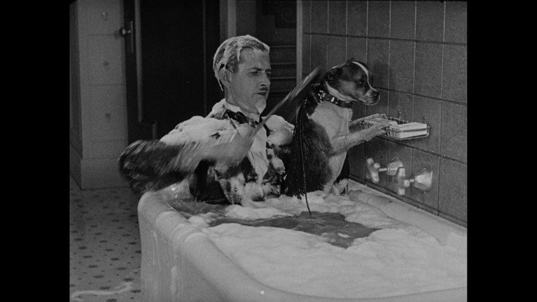 кадр из фильма Wonder Dogs! Canine Stars of the Silent Era (1898-1928)