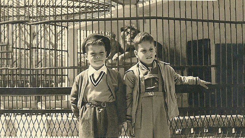 кадр из фильма אין אריות בתל אביב