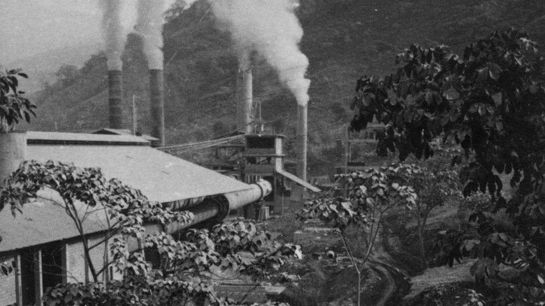 кадр из фильма Hijos del cemento