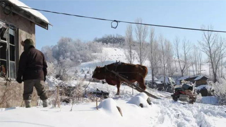 кадр из фильма 冬天里