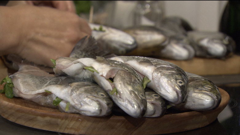 кадр из фильма 슈퍼피쉬 - 끝없는 여정