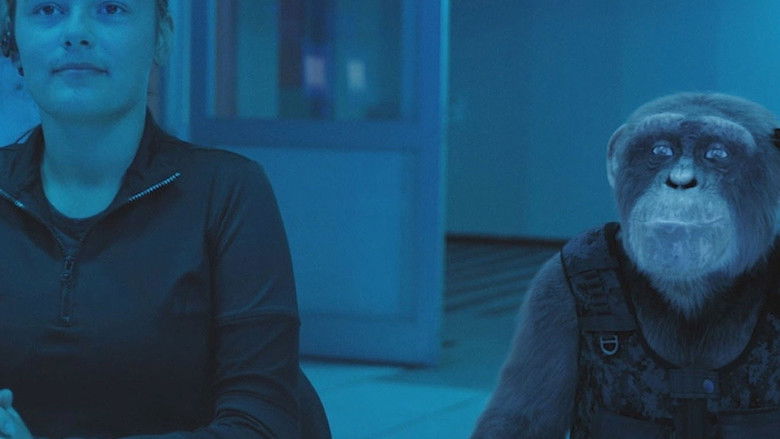 кадр из фильма Шимпанзе под прикрытием