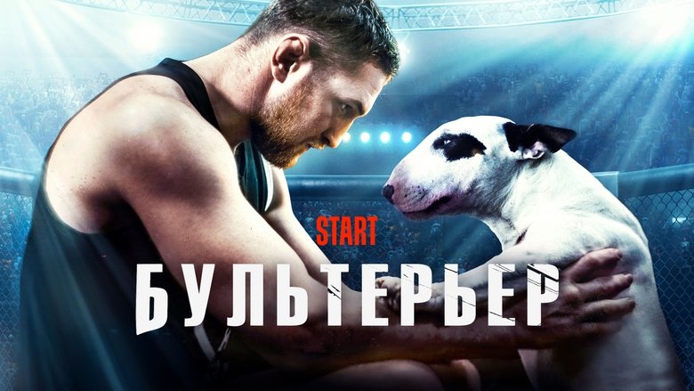 кадр из фильма Бультерьер