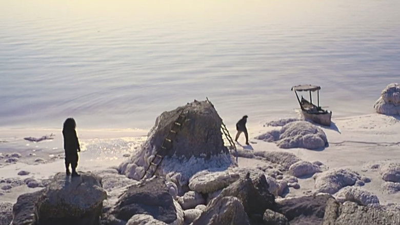 кадр из фильма Белые луга