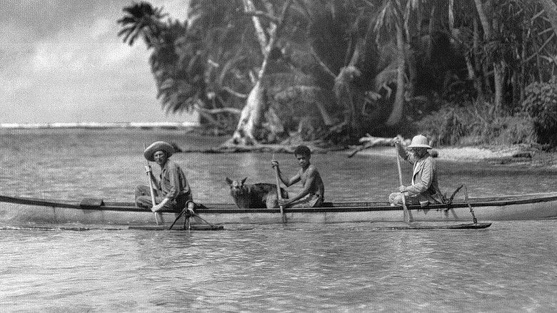 кадр из фильма Matisse voyageur, en quête de lumière