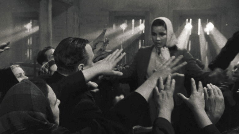 кадр из фильма Цветок на камне