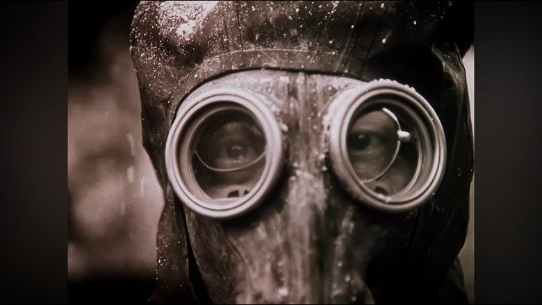 кадр из фильма Письма мёртвого человека