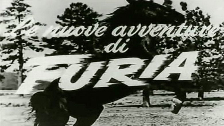 кадр из фильма Fury