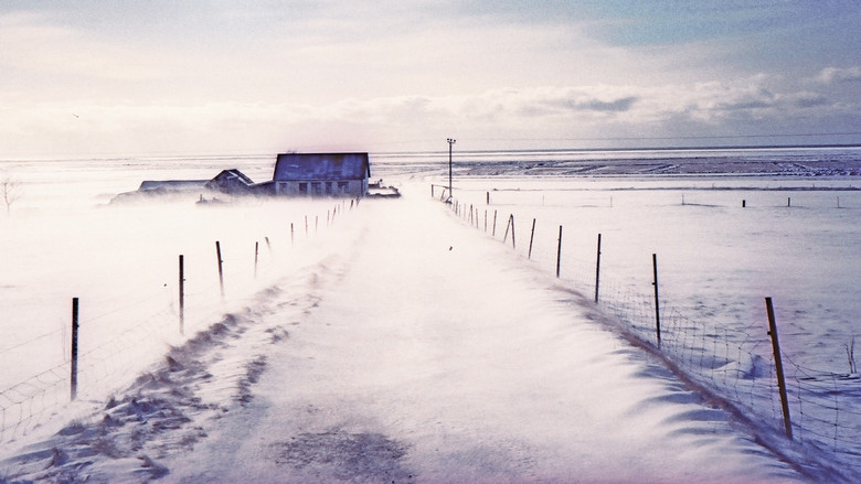 кадр из фильма at your disposal, while finding home