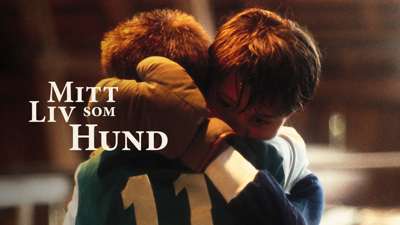 кадр из фильма Моя собачья жизнь