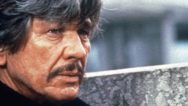 кадр из фильма Любовь и пули