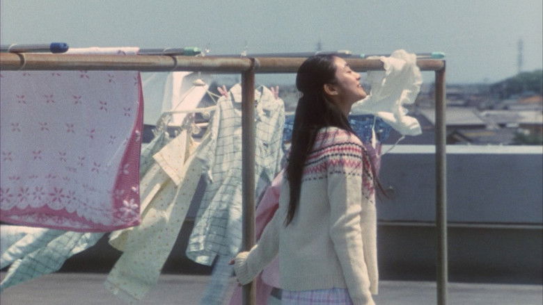 кадр из фильма 半分の月がのぼる空