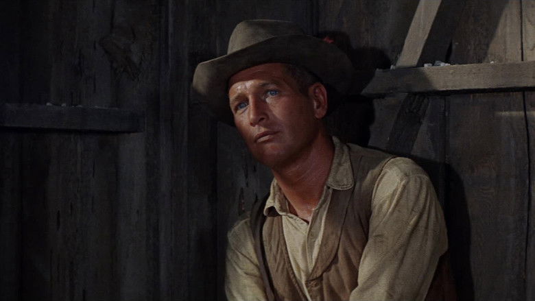 кадр из фильма Омбре: Отважный стрелок