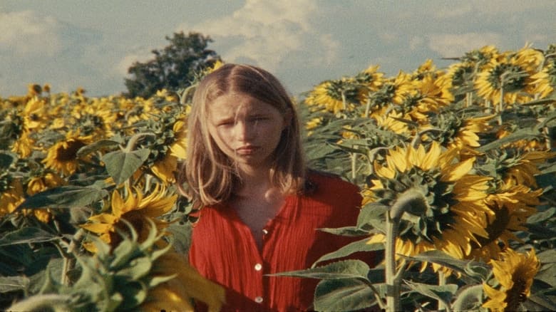 кадр из фильма Alice et les Soleils