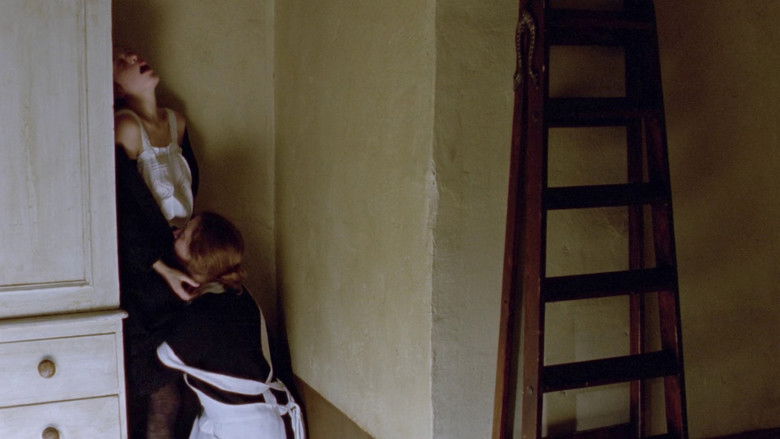 кадр из фильма Сестра моя сестра