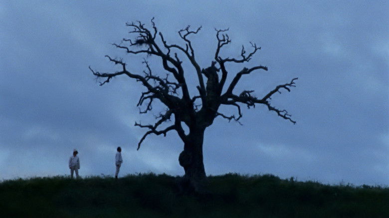 кадр из фильма Bella e perduta