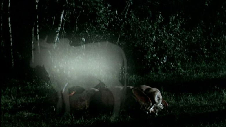 кадр из фильма Тропическая болезнь