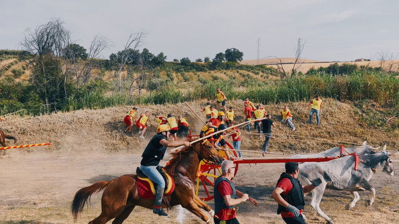 кадр из фильма Molise Tropico Felice