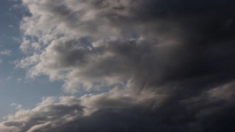 кадр из фильма The Rains