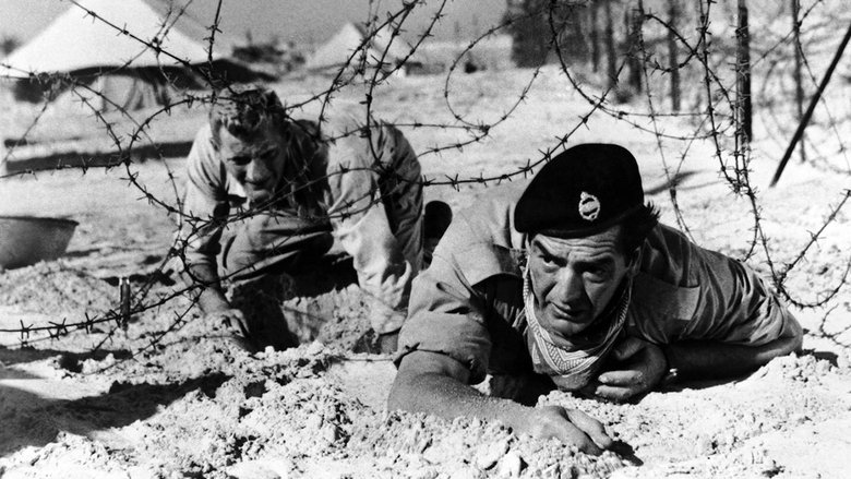 Нет времени умирать