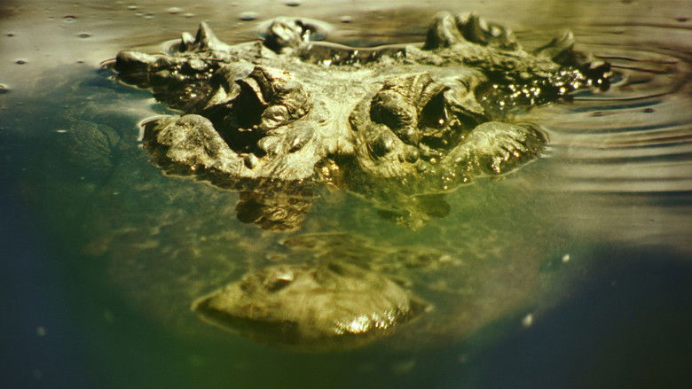 кадр из фильма Gatorville