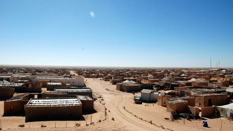 кадр из фильма Wilaya