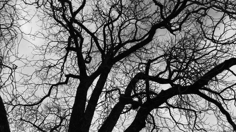 кадр из фильма Квітень