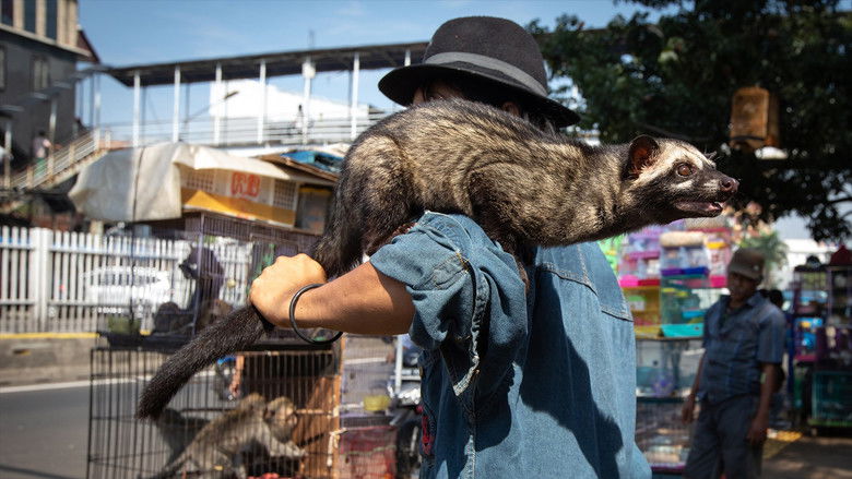 кадр из фильма Corona: The Pandemic and the Pangolin