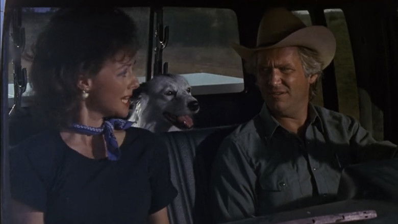 кадр из фильма Техасвилль