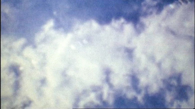 кадр из фильма Maya