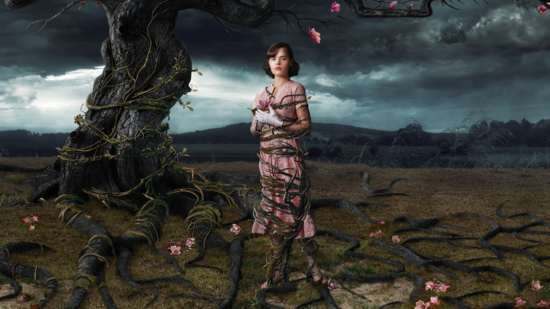 кадр из фильма Паутина грёз