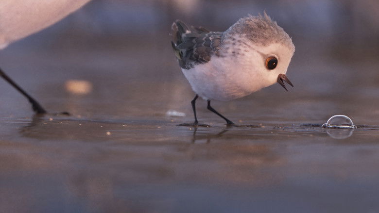 кадр из фильма Песочник