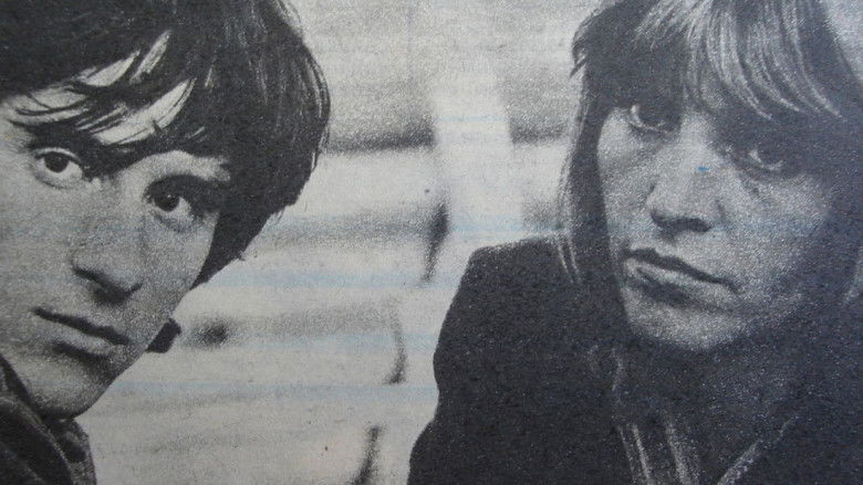 кадр из фильма Pas în doi