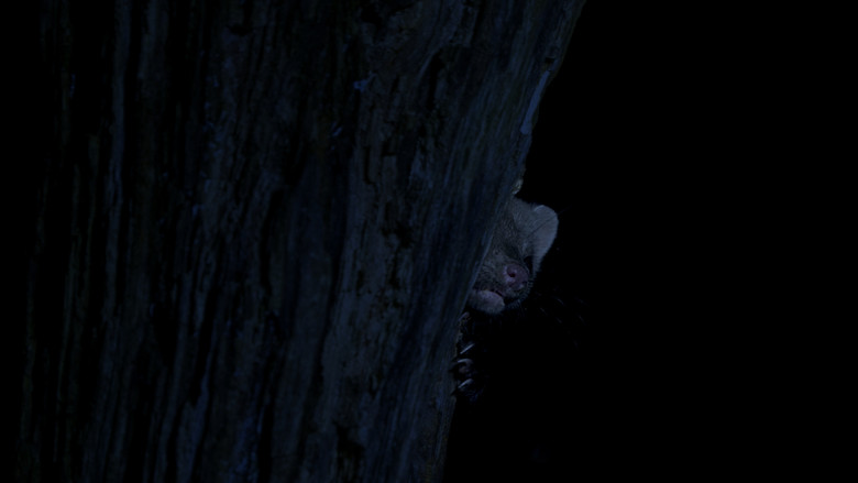 кадр из фильма Geruisloos