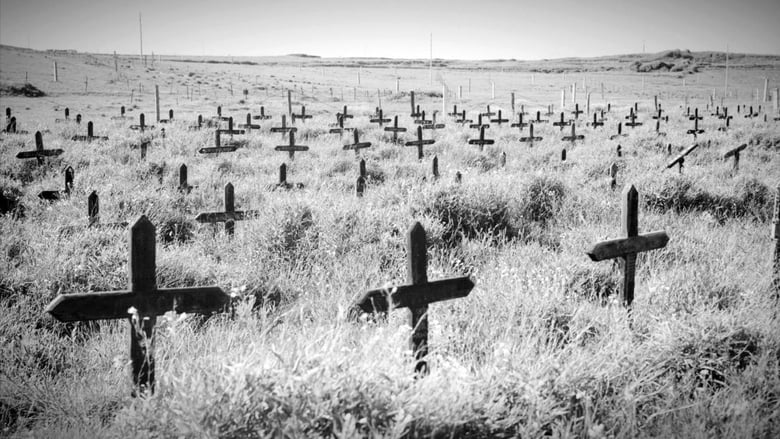 кадр из фильма Adolf Island