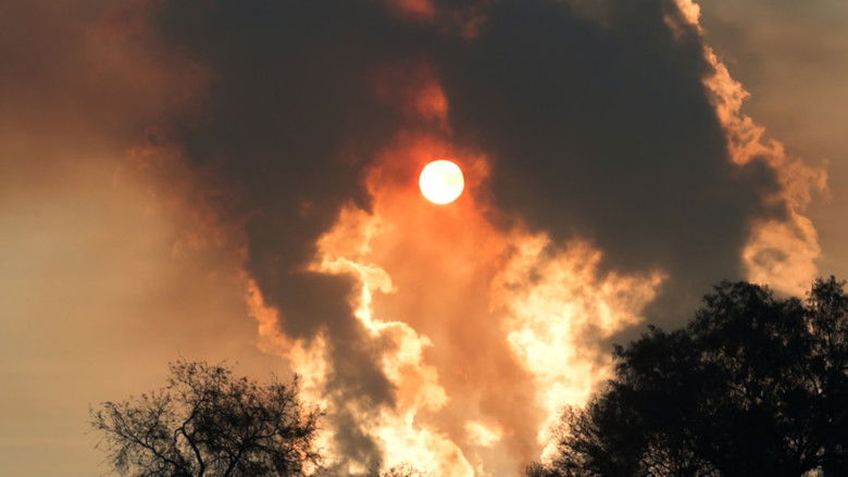 кадр из фильма Mezquite