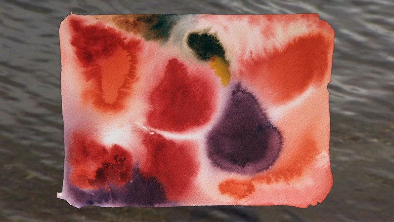 кадр из фильма Pequenos Milagres