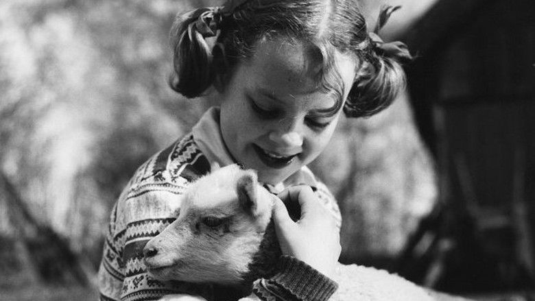 кадр из фильма Alla vi barn i Bullerbyn