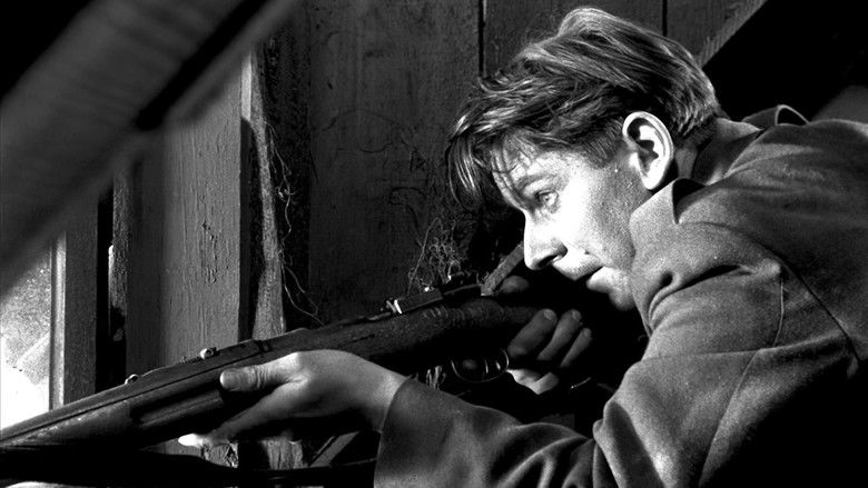 кадр из фильма Wolne miasto