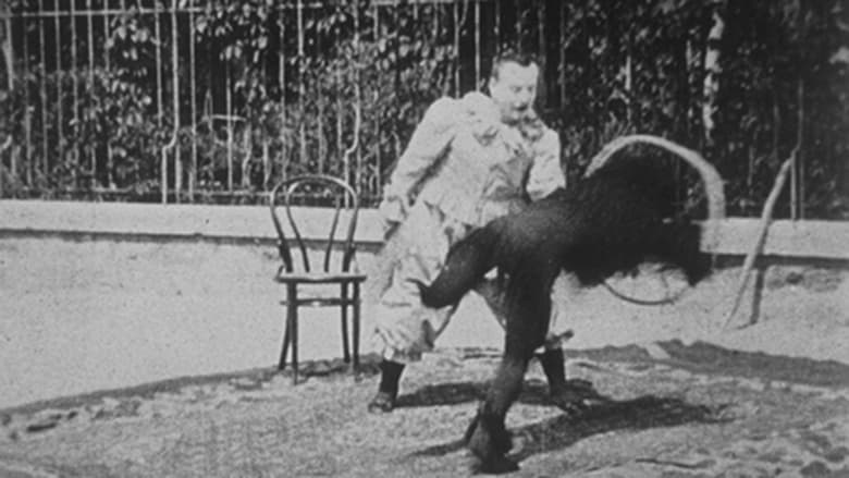 кадр из фильма L’homme-chien